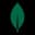 MongoDB