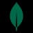 MongoDB logo